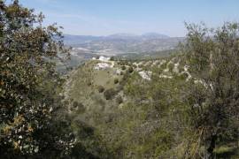 Lush Land with Stunning Views Land