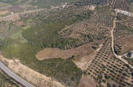 Excellent Plot of land for sale in MESSINIA PELOPONNESE