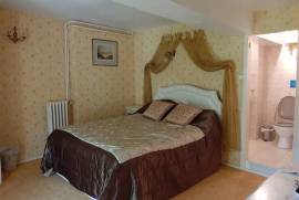 9 Bedrooms - Chateau - Poitou-Charentes - For Sale