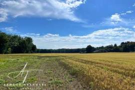 Batiment 300m2 avec Terrain agricole