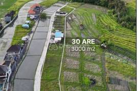 Prime Investment Opportunity, 30 Are Land in Pantai Lima