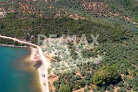 Agricultural 9613 sq.m for sale