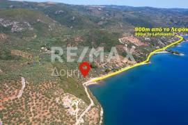 Agricultural 9613 sq.m for sale