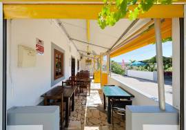 House + Restaurant and Land in Odelouca