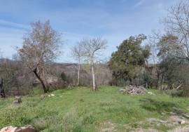 Farm for Annual Rent in Pousaflores