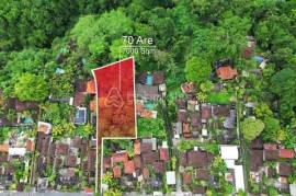 Unearth a Serendipitous Investment in Ubud’s 70 Are Leasehold Secreted Land