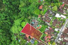 Envision Paradise: Secluded Freehold 70 Are Land in Ubud