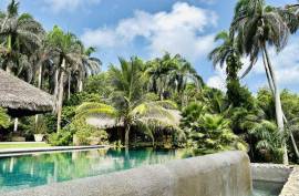Luxurious Tropical Island Villa