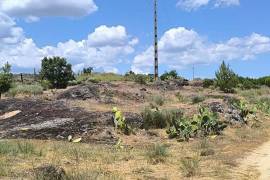 FARM IN CASTELO BARNCO 4.8ha.