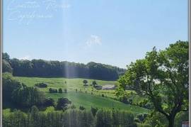 Terrain agricole sur 6 hectares, bois, sources, compteur électrique et eau, clos, abri animaux, chevaux