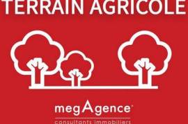 LE HAM - TERRAIN AGRICOLE