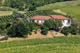 The Young Winemaker's Estate for sale near Asti, Piedmont