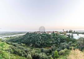 T3 with panoramic view of the Polytechnic.