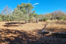 Rustic Land in Fonte de Ápra