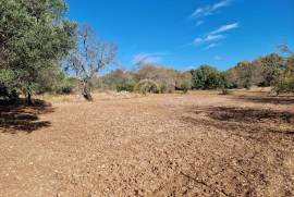 Rustic Land in Fonte de Ápra