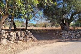 Rustic Land in Fonte de Ápra