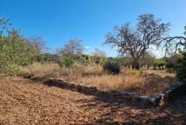 Rustic Land in Fonte de Ápra