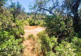 Rustic land with 909 M2 located in the Areeiro area between Loulé and Almancil