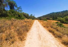 Rustic land with 909 M2 located in the Areeiro area between Loulé and Almancil