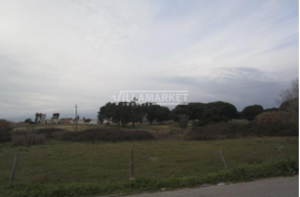 Land with 76 070 m2 located in Penteado between Moita and Pinhal Novo