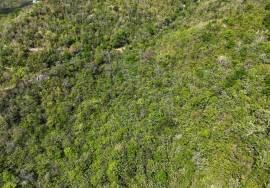 Greenbanks Hillside Villa Land Lot 286