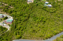 Cane Garden Bay Beach Hillside Lots