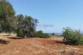 Sea view land for sale in Carovigno