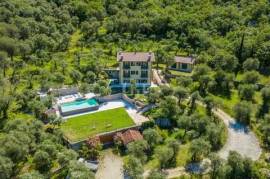 Villa surrounded by olive grove