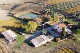 AZ318 - 15-hectare farm with farmhouse, winery and outbuildings