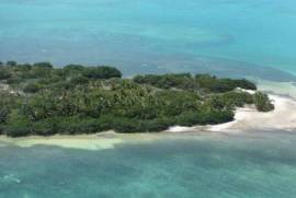 392 Hectares of Land for Sale in Bacalar