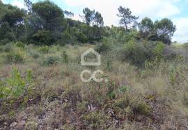 Land in Cernache with 7609m2