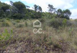 Land in Cernache with 7609m2