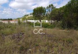 Land in Cernache with 7609m2