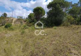 Land in Cernache with 7609m2