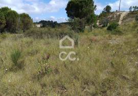 Land in Cernache with 7609m2