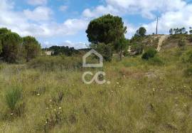 Land in Cernache with 7609m2