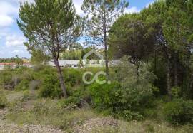 Land in Cernache with 7609m2