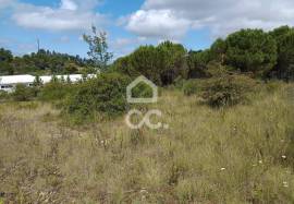 Land in Cernache with 7609m2