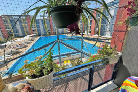 Pool vIew Apartment wIth 1 bedroom In ElIt 4 Sunny Beach