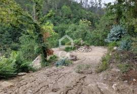 Farm with 40,000 m2 next to the Teixeira River - Conlela in São João da Serra - Oliveira de Frades