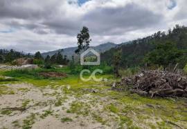 Farm with 40,000 m2 next to the Teixeira River - Conlela in São João da Serra - Oliveira de Frades