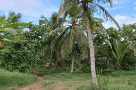 2 Plots of land for sale in Kandakalle Estate Sri
