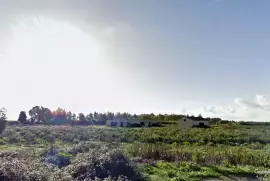 Unfinished farmhouse in Oristano countryside