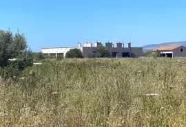 Unfinished farmhouse in Oristano countryside