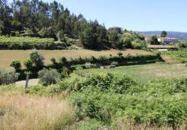 Centenary Farm in the Douro