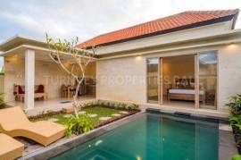 A Minimalist One Bedroom Villa with Additional Plot Land in Ubud