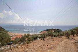 Agricultural 4403 sq.m for sale