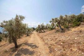 Agricultural 4403 sq.m for sale