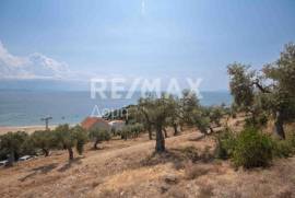 Agricultural 4403 sq.m for sale