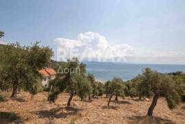 Agricultural 4403 sq.m for sale